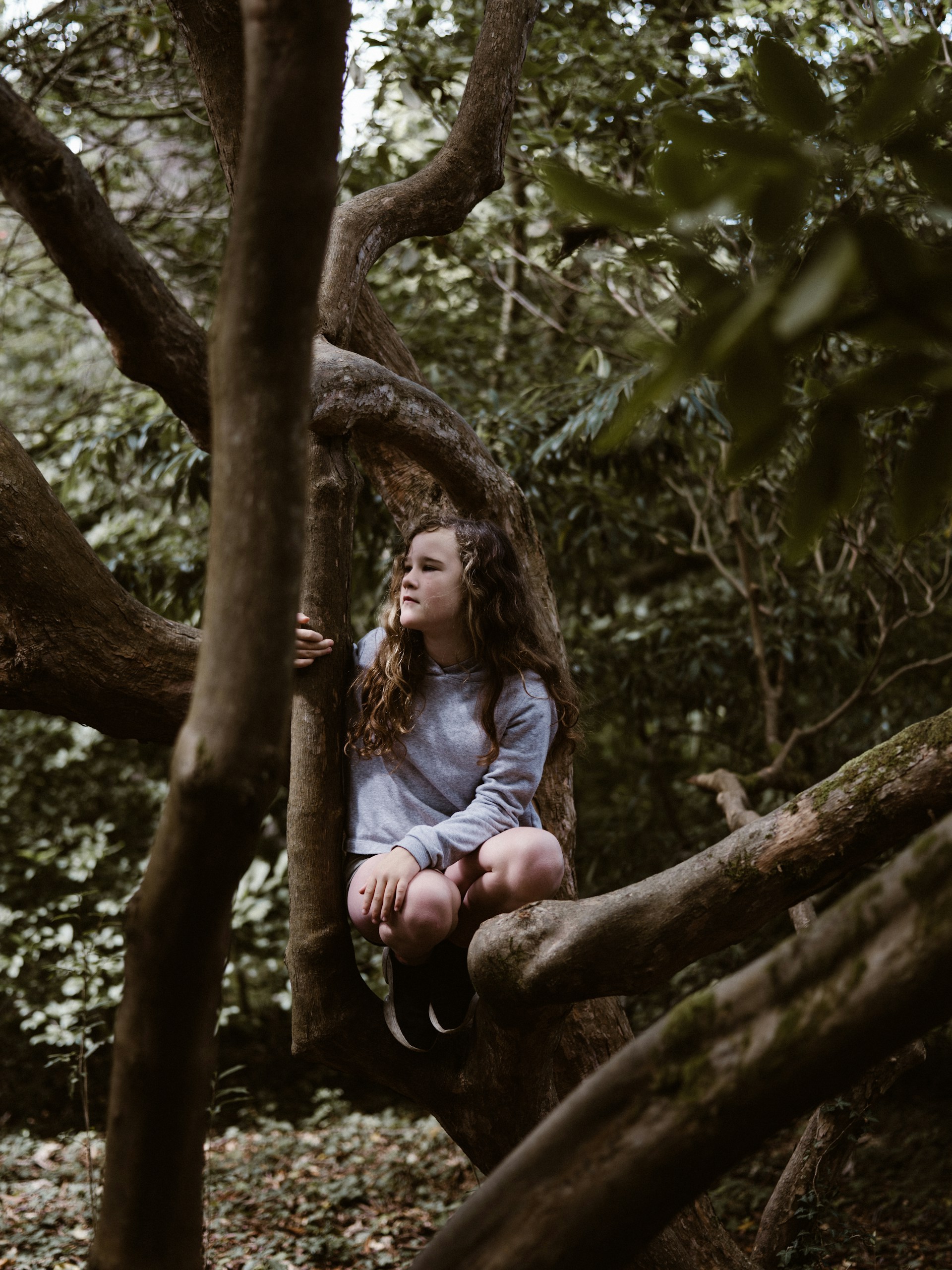 annie spratt qwjpqdlt1hm unsplash
