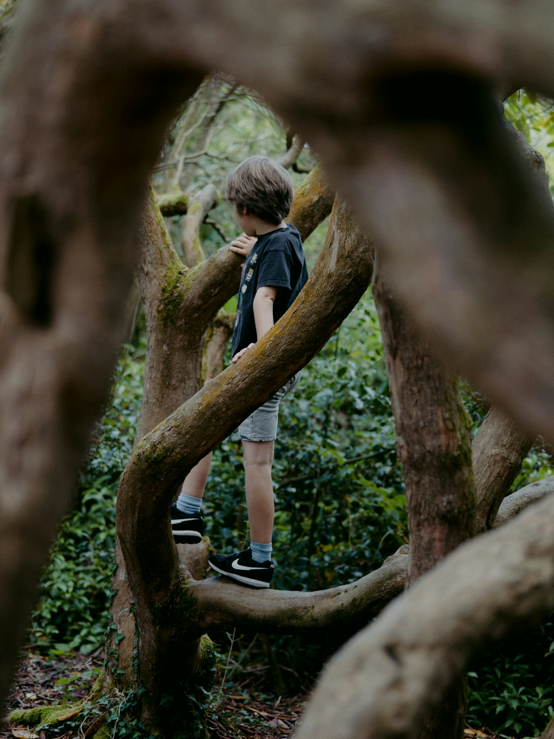 annie spratt soyunnfizao unsplash